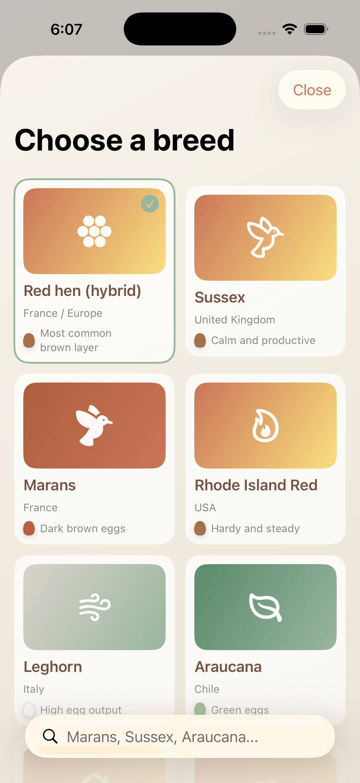 EggTrack daily dashboard on iPhone